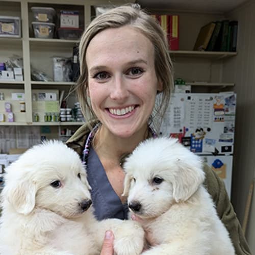 Dr. Tanzy Easom, Perry Veterinarian